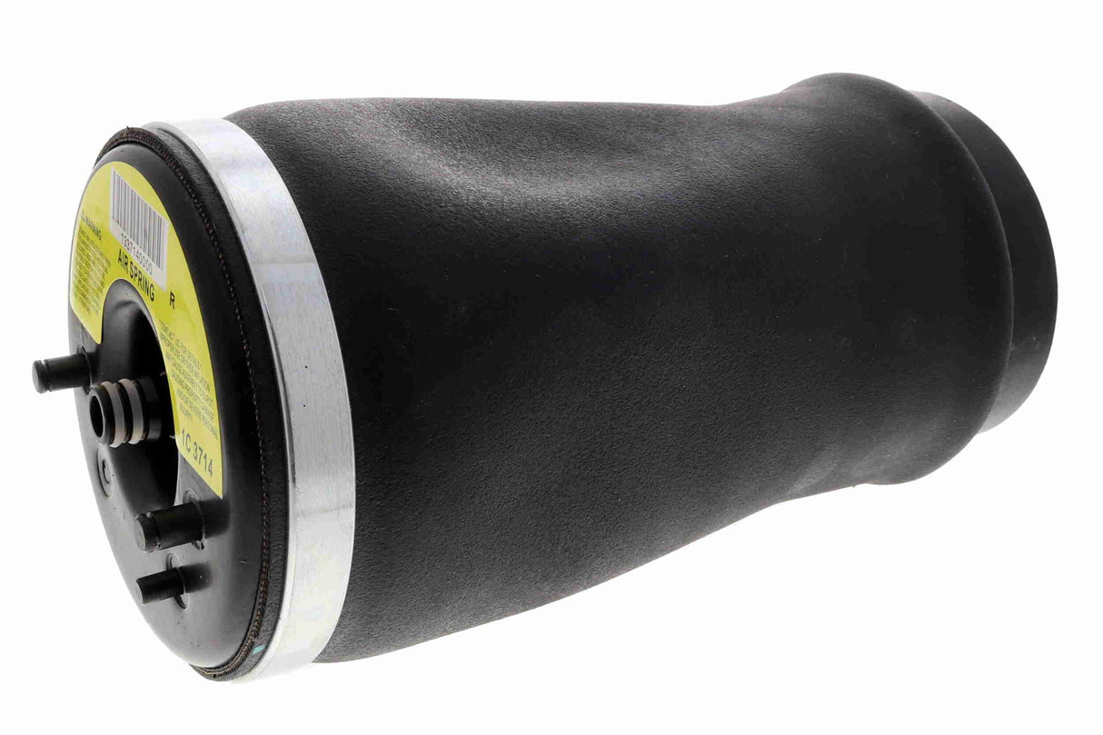 Air Suspension Strut - V20-50-0004-1