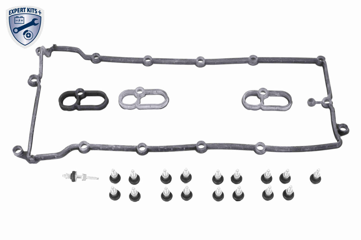 Cylinder Head Cover - V48-0551