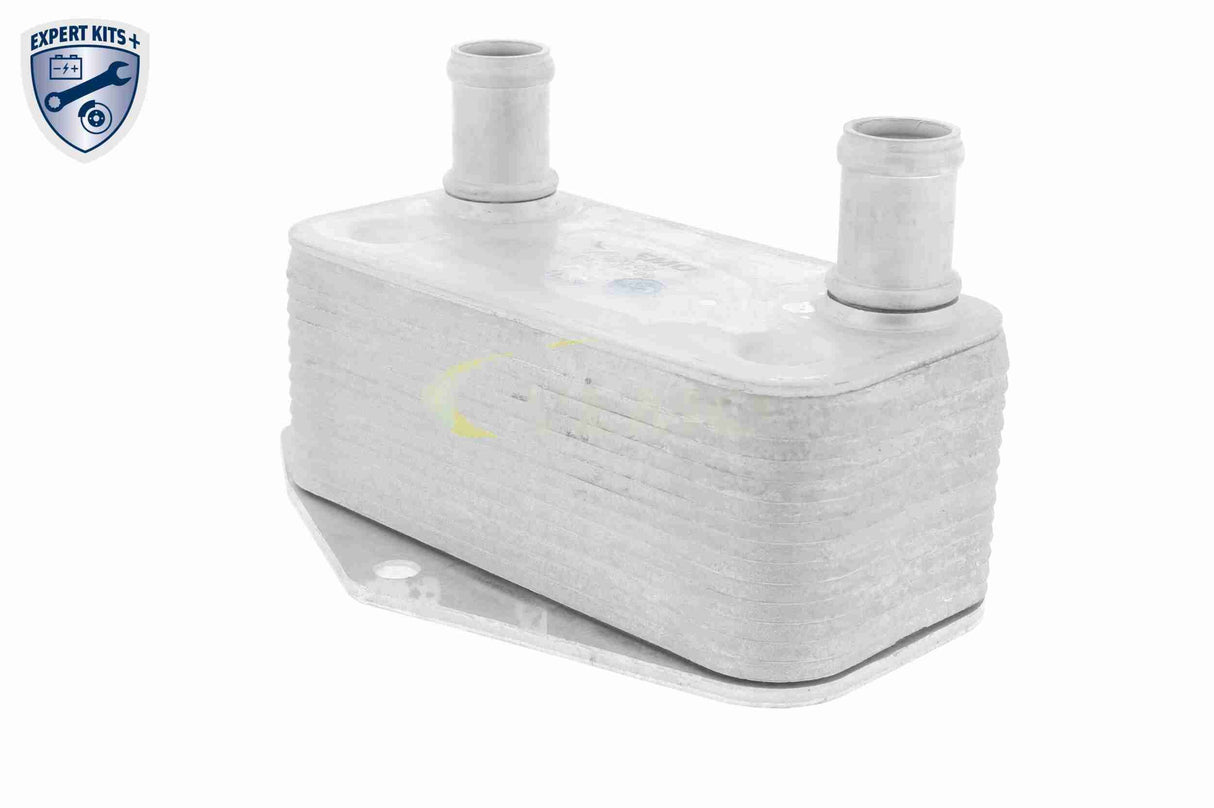Oil Cooler, engine oil - V20-60-0062