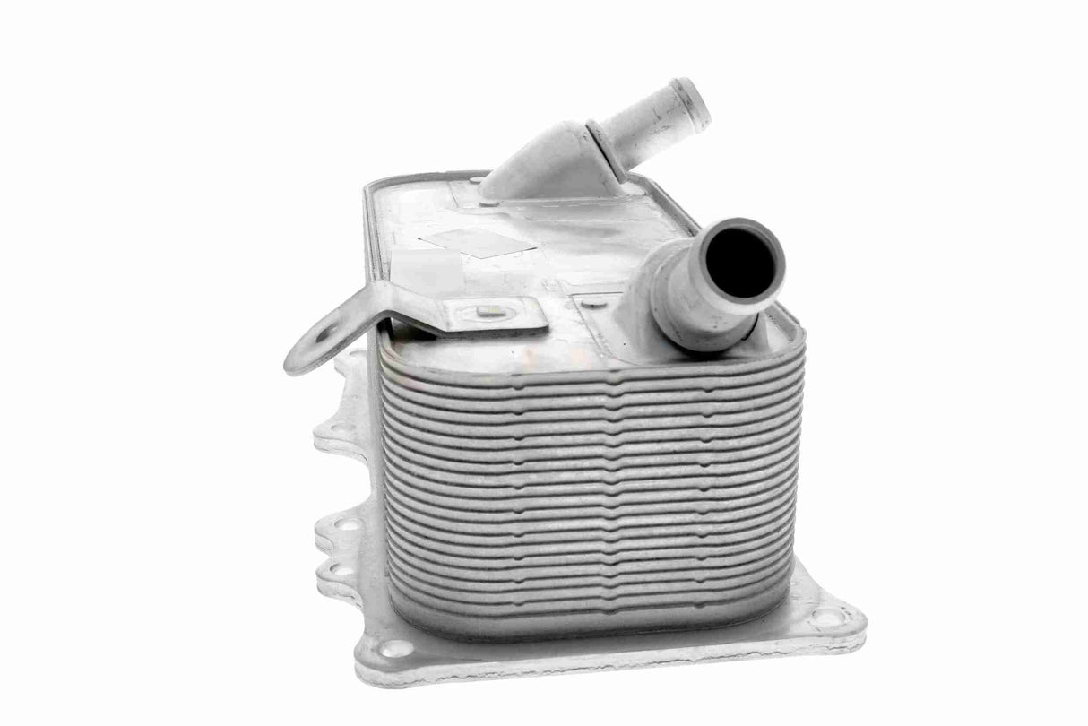 Oil Cooler, engine oil - V45-60-0006
