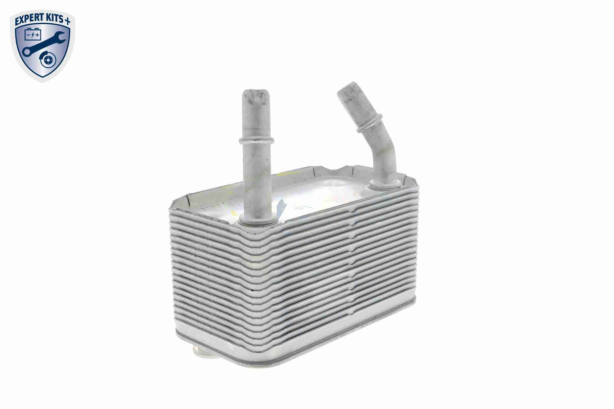 Oil Cooler, automatic transmission - V20-60-0003