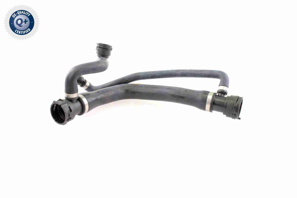 Radiator Hose - V20-1299