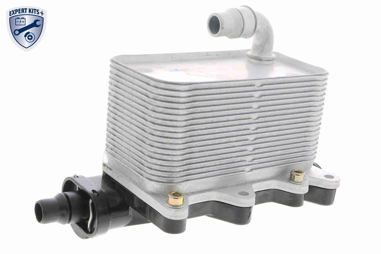 Oil Cooler, engine oil - V20-60-0046