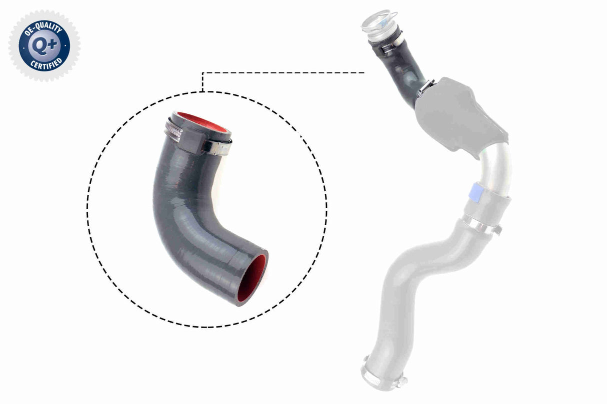 Charge Air Hose - V46-1035
