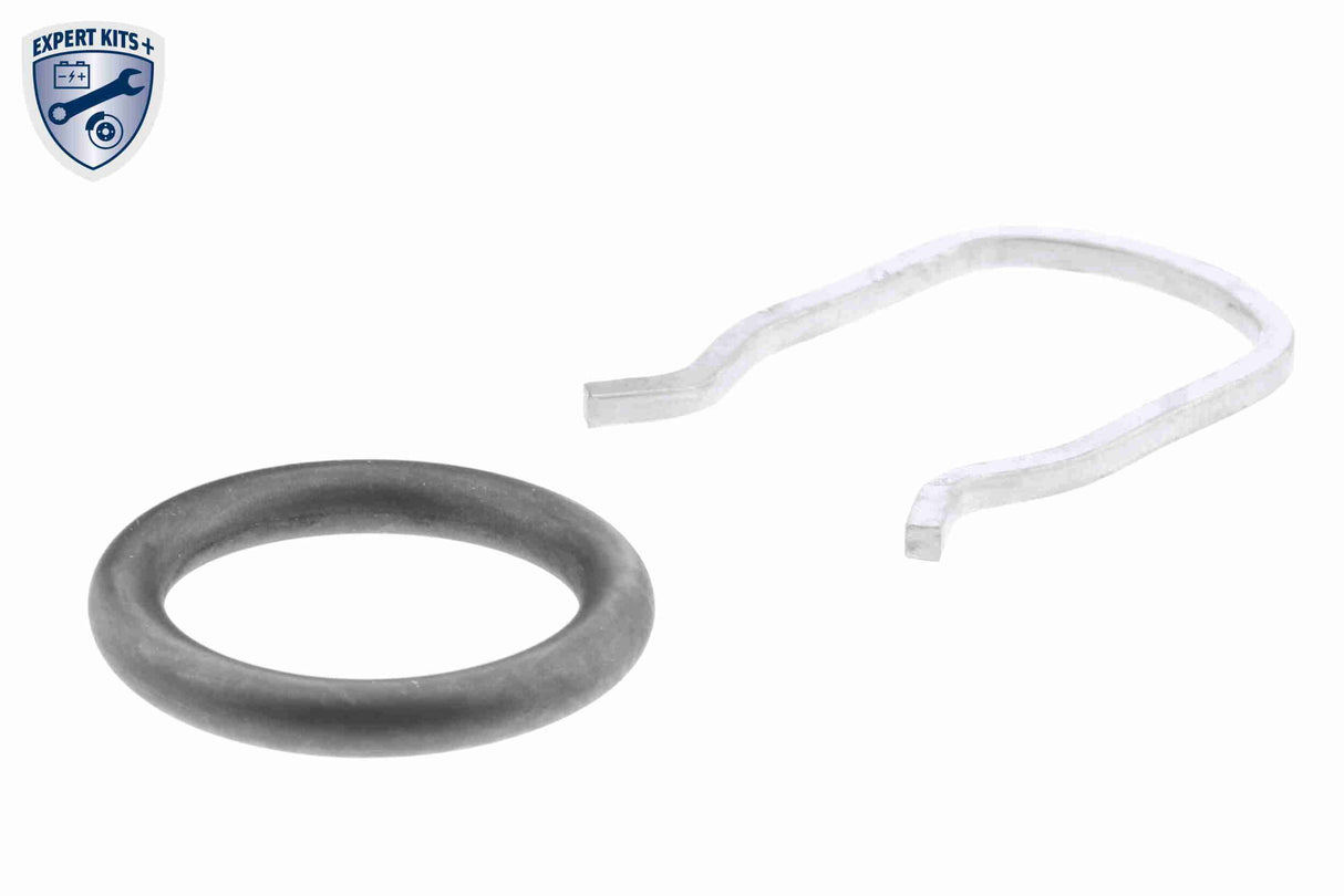 Sensor, fuel temperature - V10-72-1251