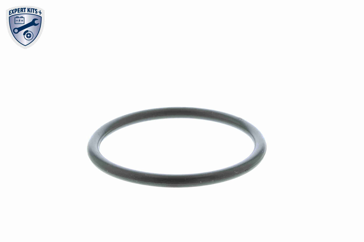 Thermostat, coolant - V15-99-2002-1