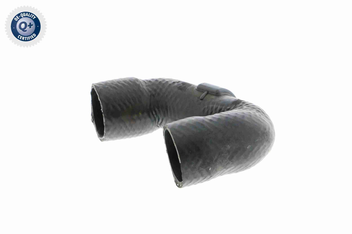 Radiator Hose - V20-2410