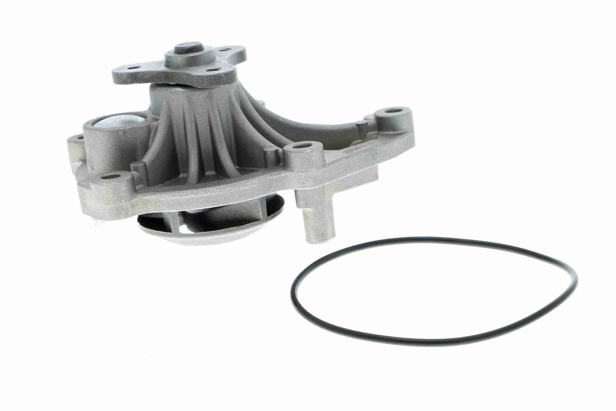 Water Pump, engine cooling - V20-50045