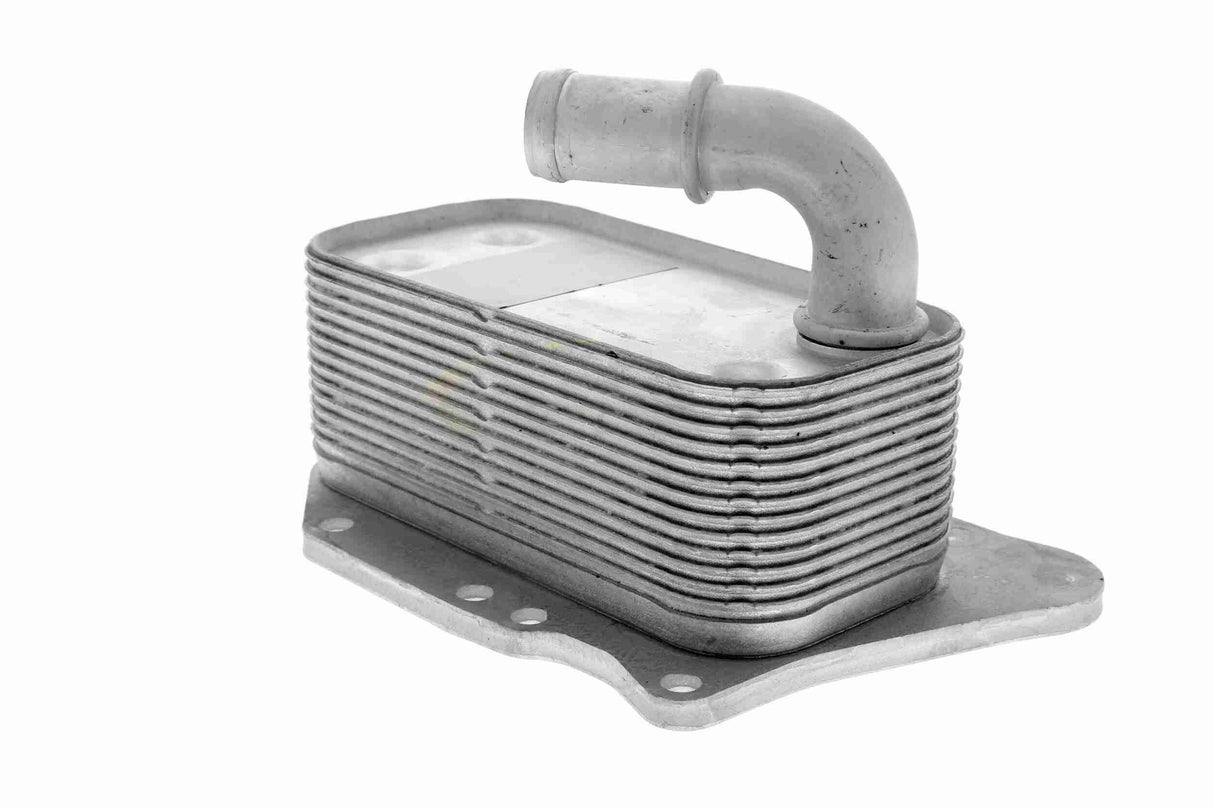 Oil Cooler, engine oil - V40-60-2107