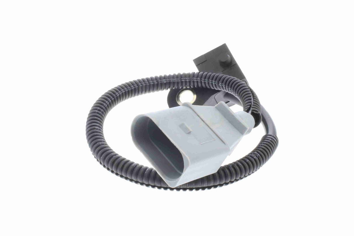 Sensor, camshaft position - V10-72-1229