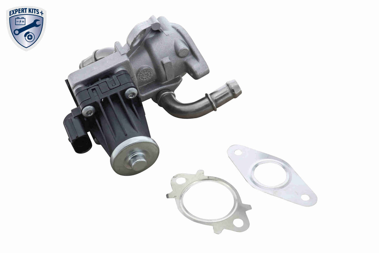Valve, exhaust gas recirculation - V25-63-0019-1