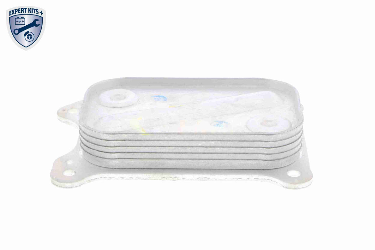 Oil Cooler, engine oil - V24-60-0001
