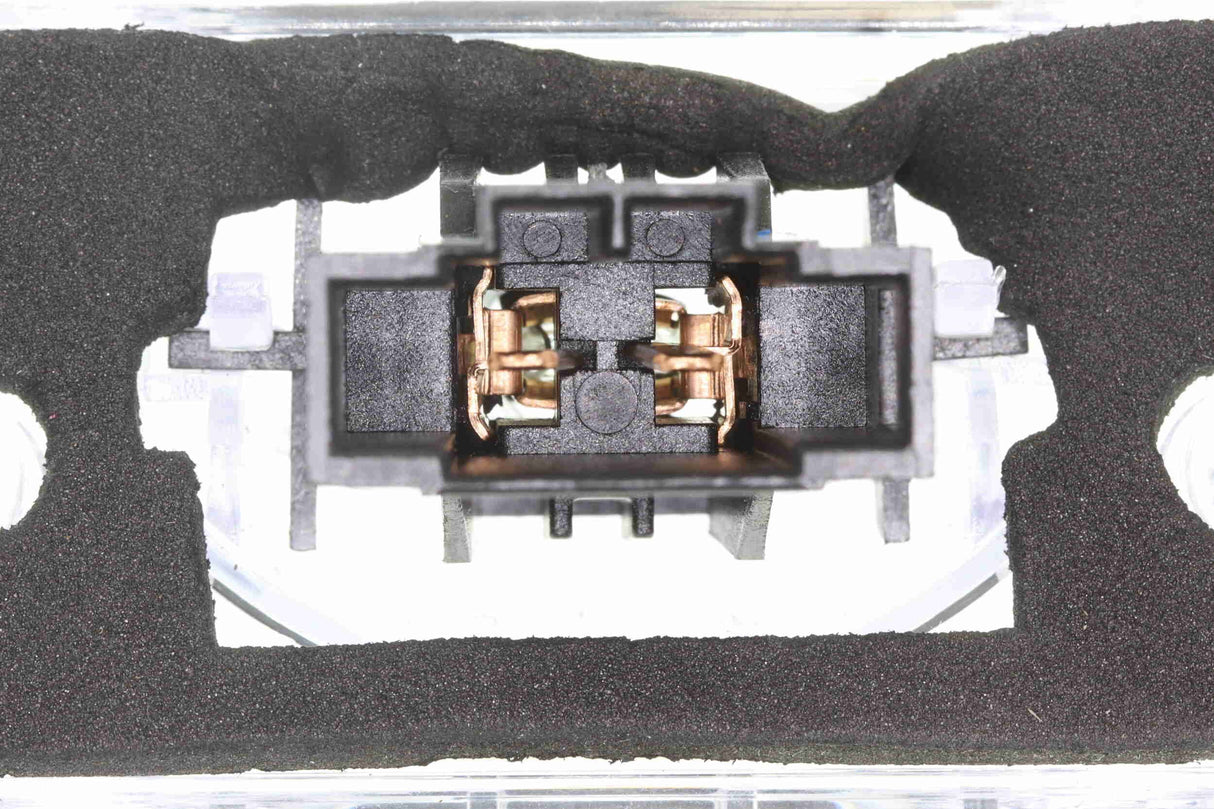 Licence Plate Light - V10-84-0036