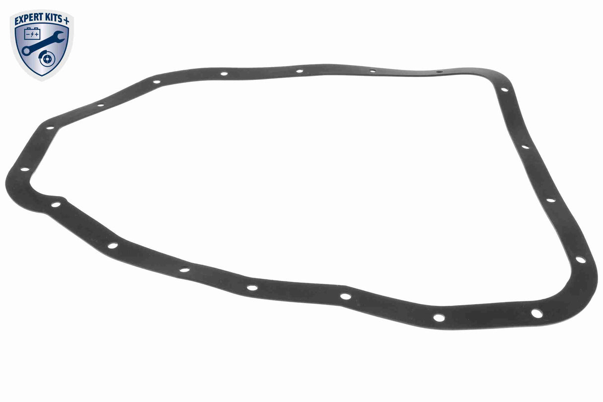 Parts Kit, automatic transmission oil change - V52-0389-BEK