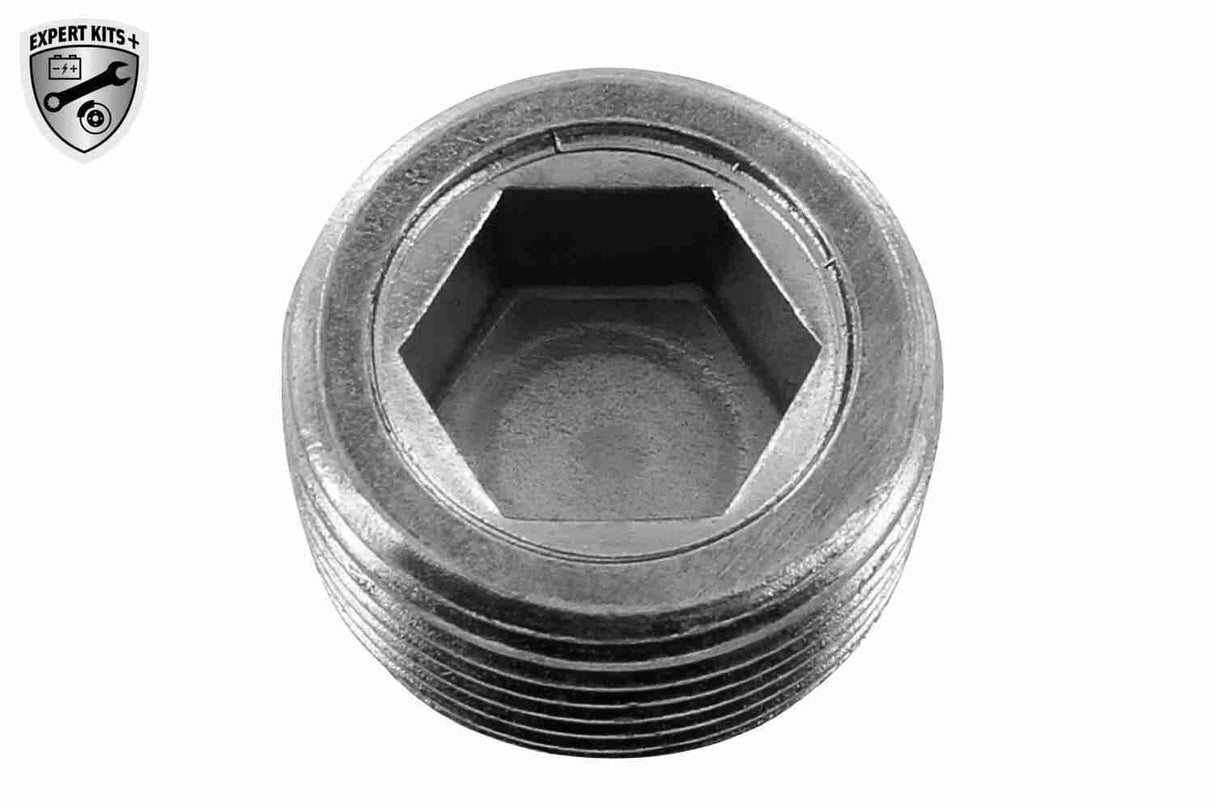 Oil Sump - V24-0334