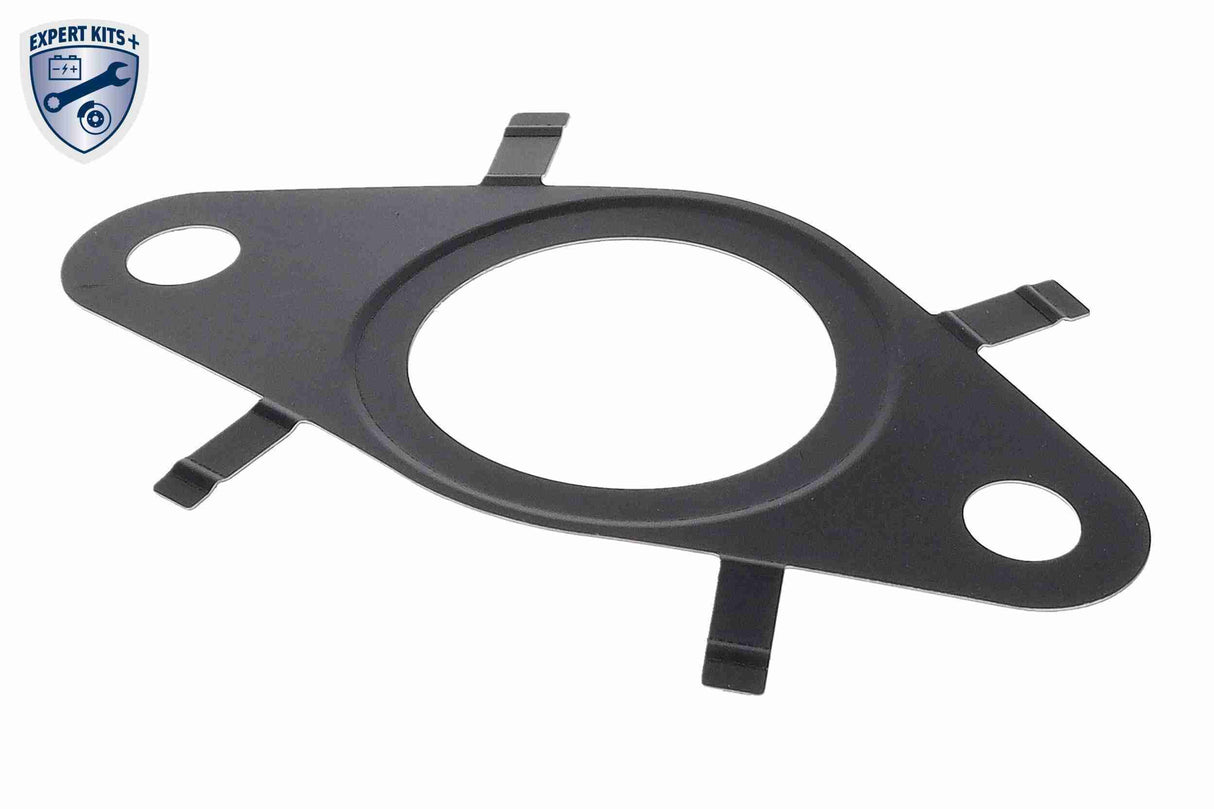 Gasket, EGR valve - V24-63-0038