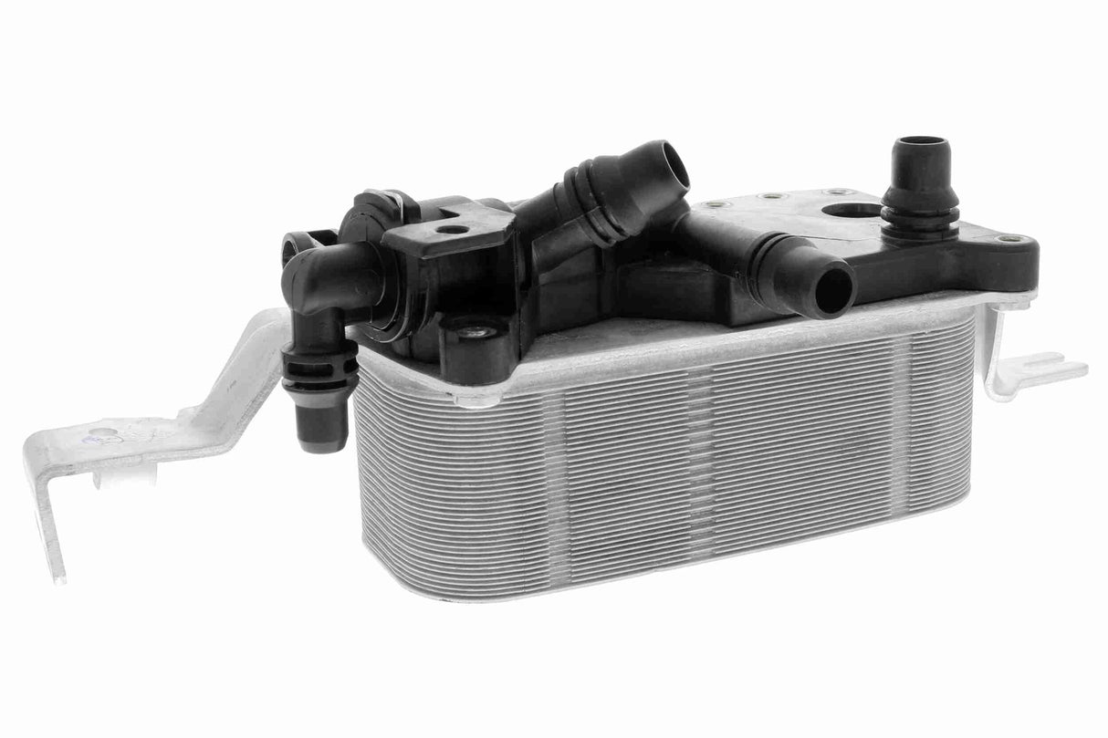 Oil Cooler, engine oil - V20-60-0052
