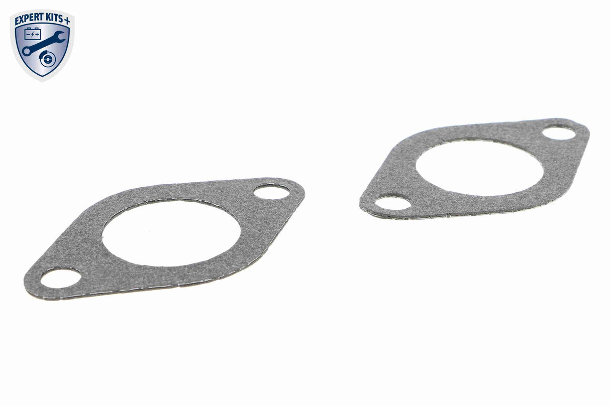 Cooler, exhaust gas recirculation - V10-63-0129