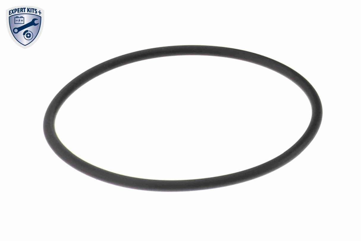 Intake Manifold Module - V30-3720