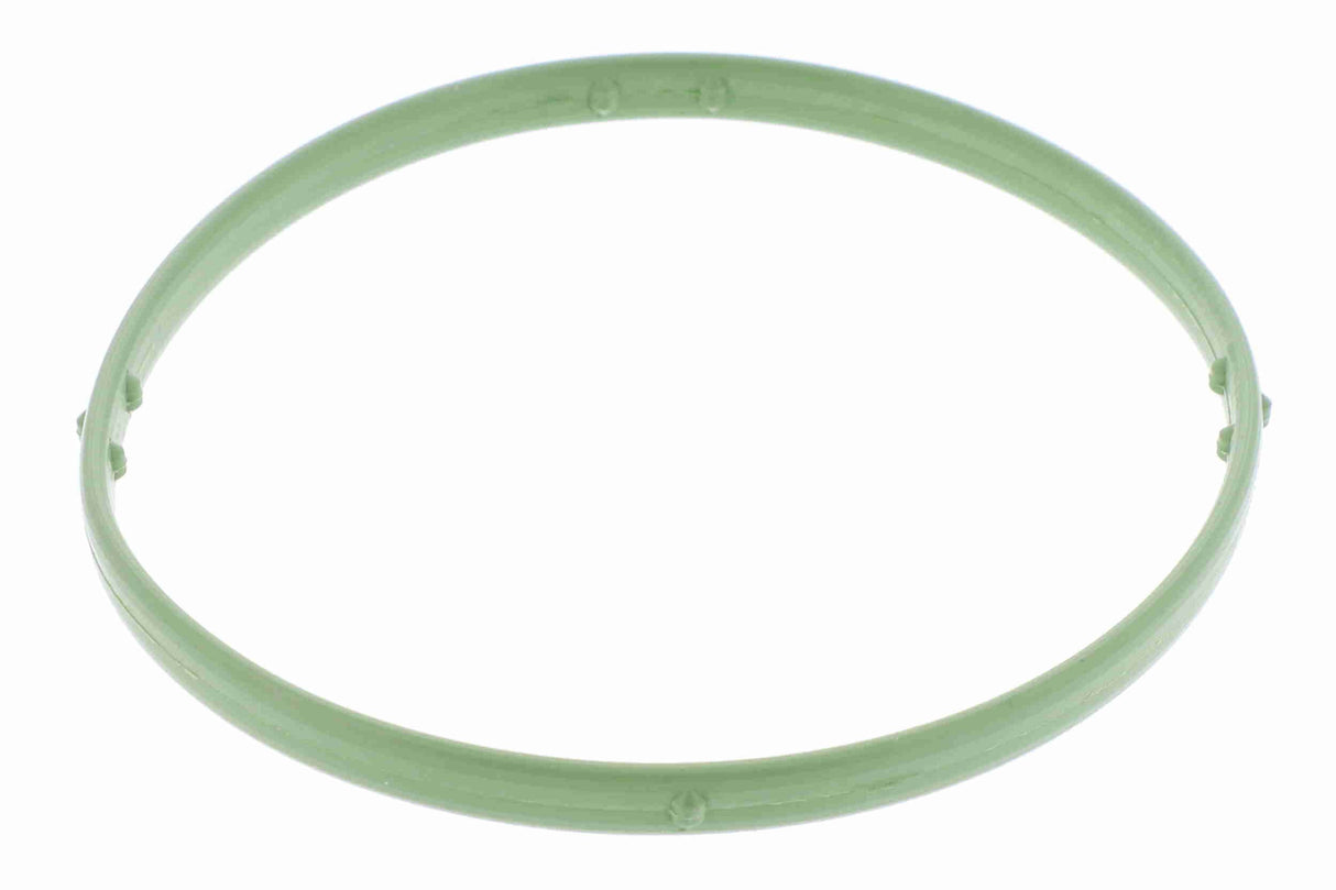 Gasket, throttle body - V10-81-0146