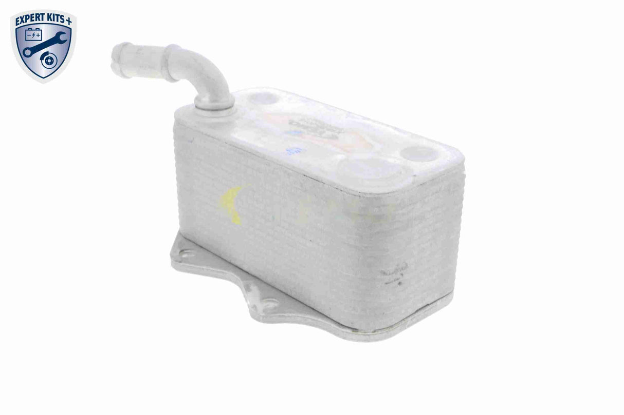 Oil Cooler, engine oil - V15-60-6018