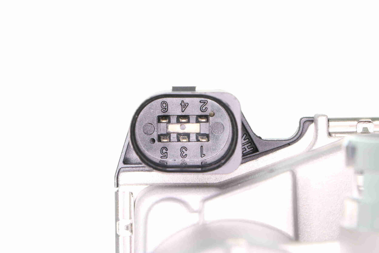 Throttle Body - V10-81-0050