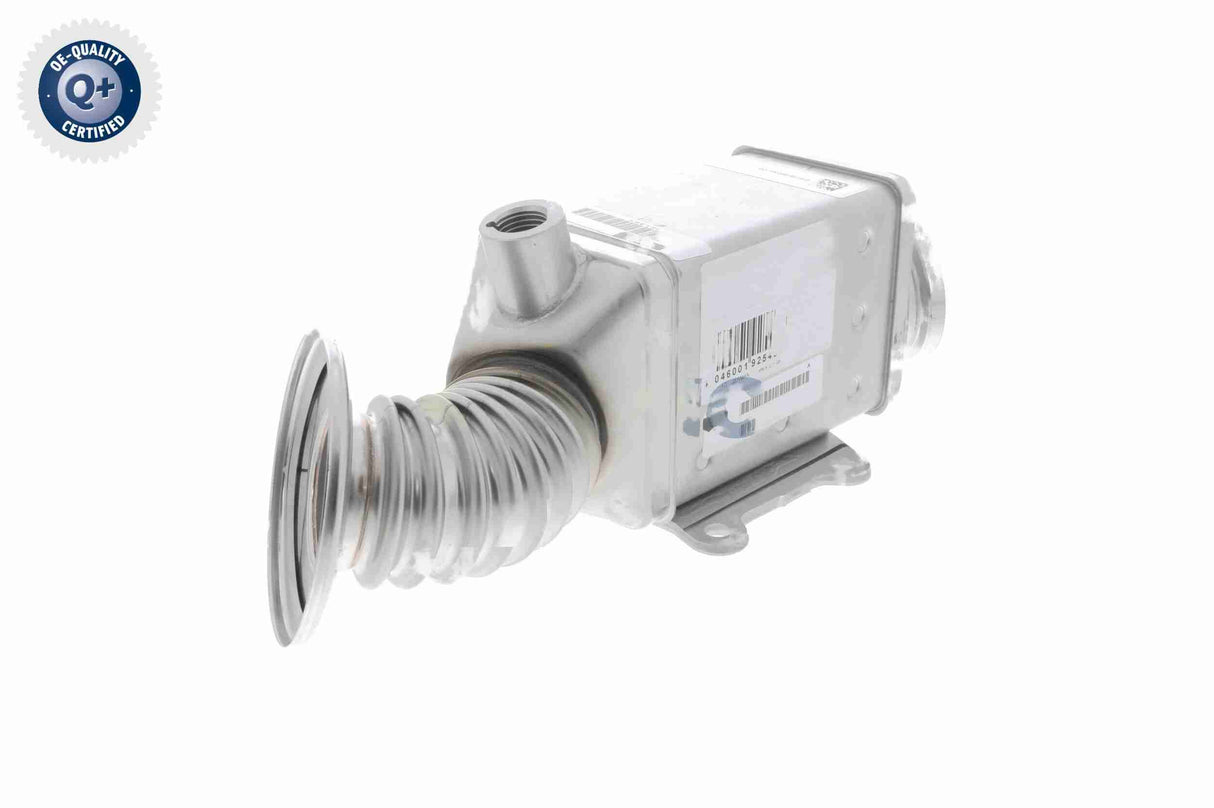 Cooler, exhaust gas recirculation - V24-63-0023