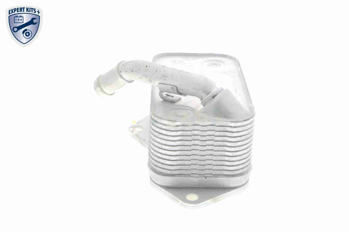 Oil Cooler, engine oil - V20-60-0045