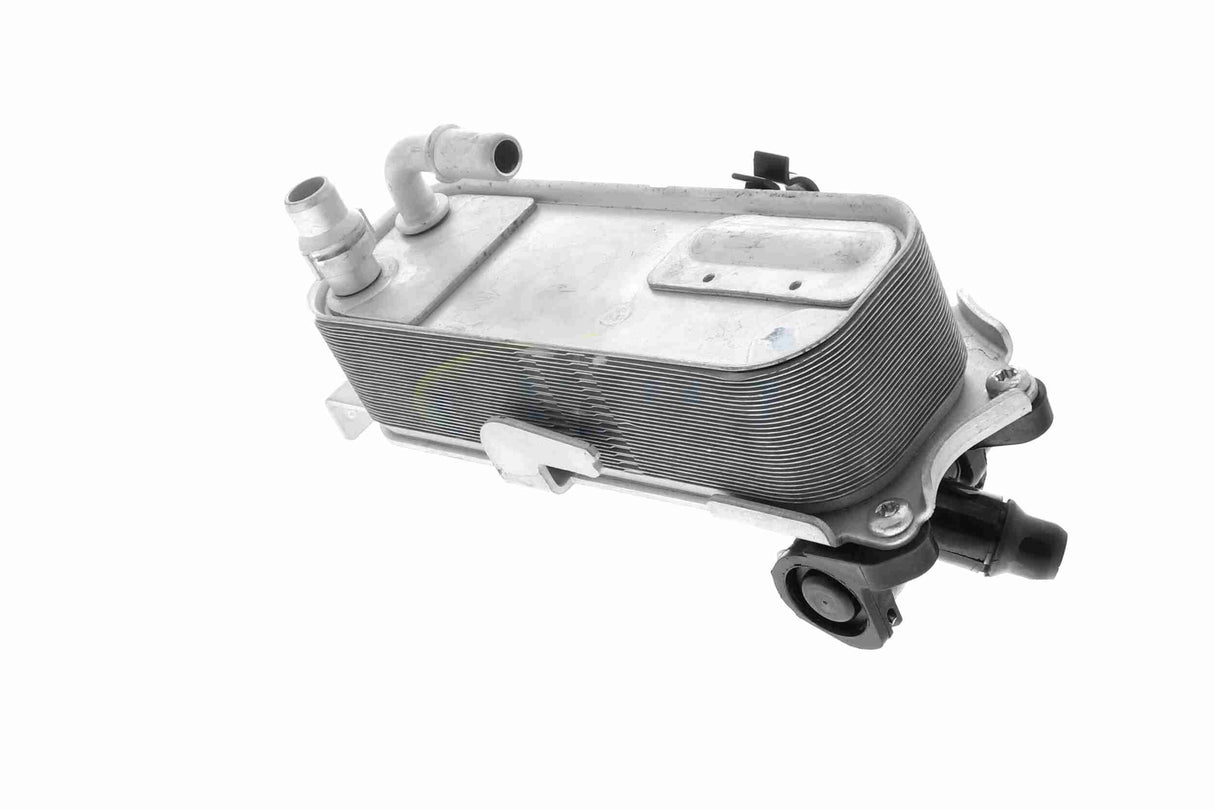 Oil Cooler, automatic transmission - V20-60-1660