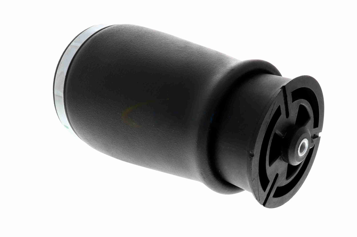 Air Suspension Strut - V20-50-0019-1