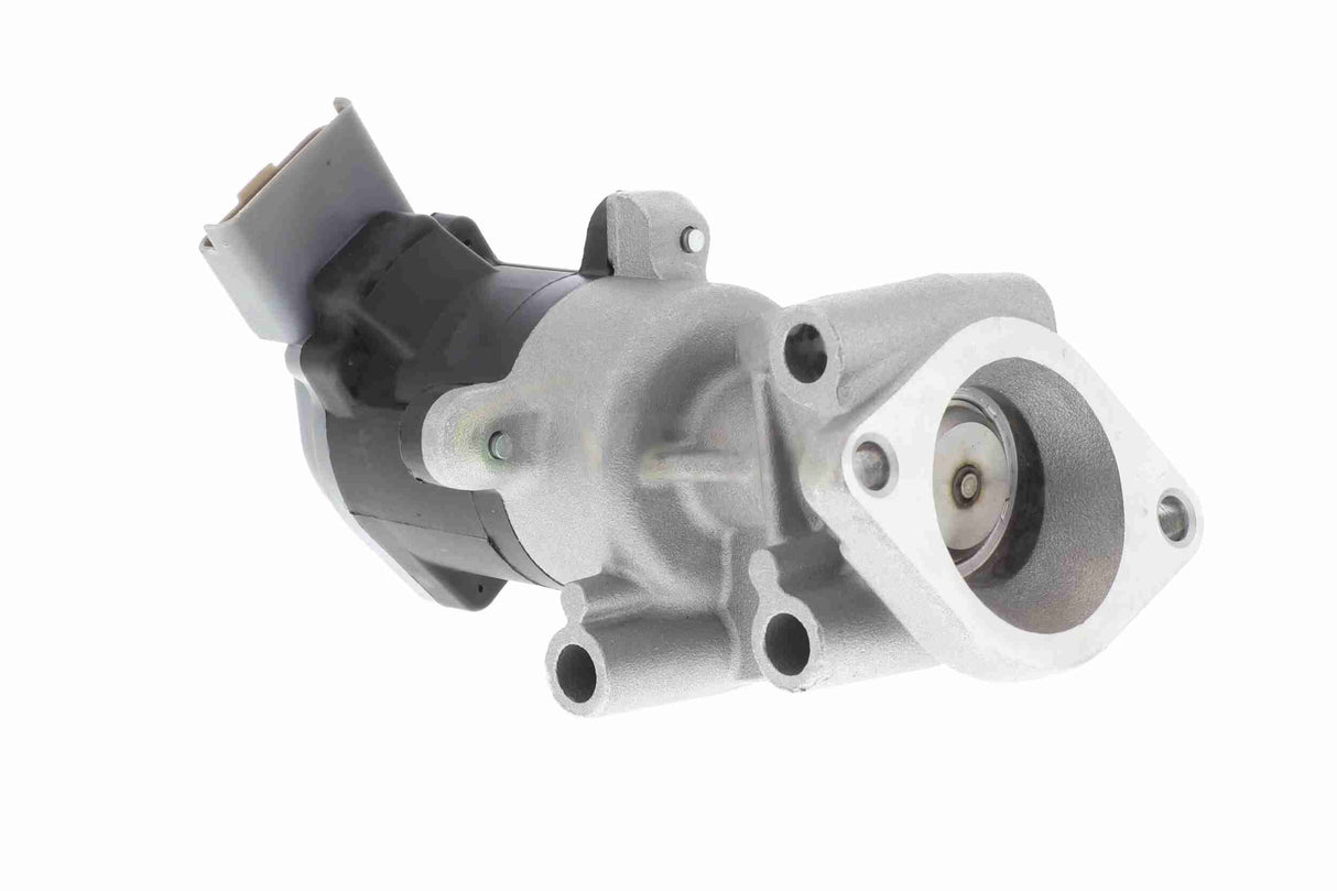 Valve, exhaust gas recirculation - V22-63-0002-1