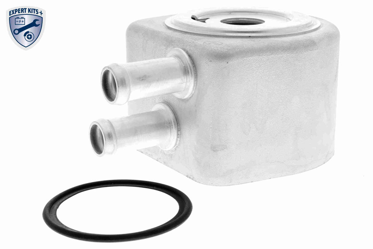 Oil Cooler, engine oil - V25-60-0040
