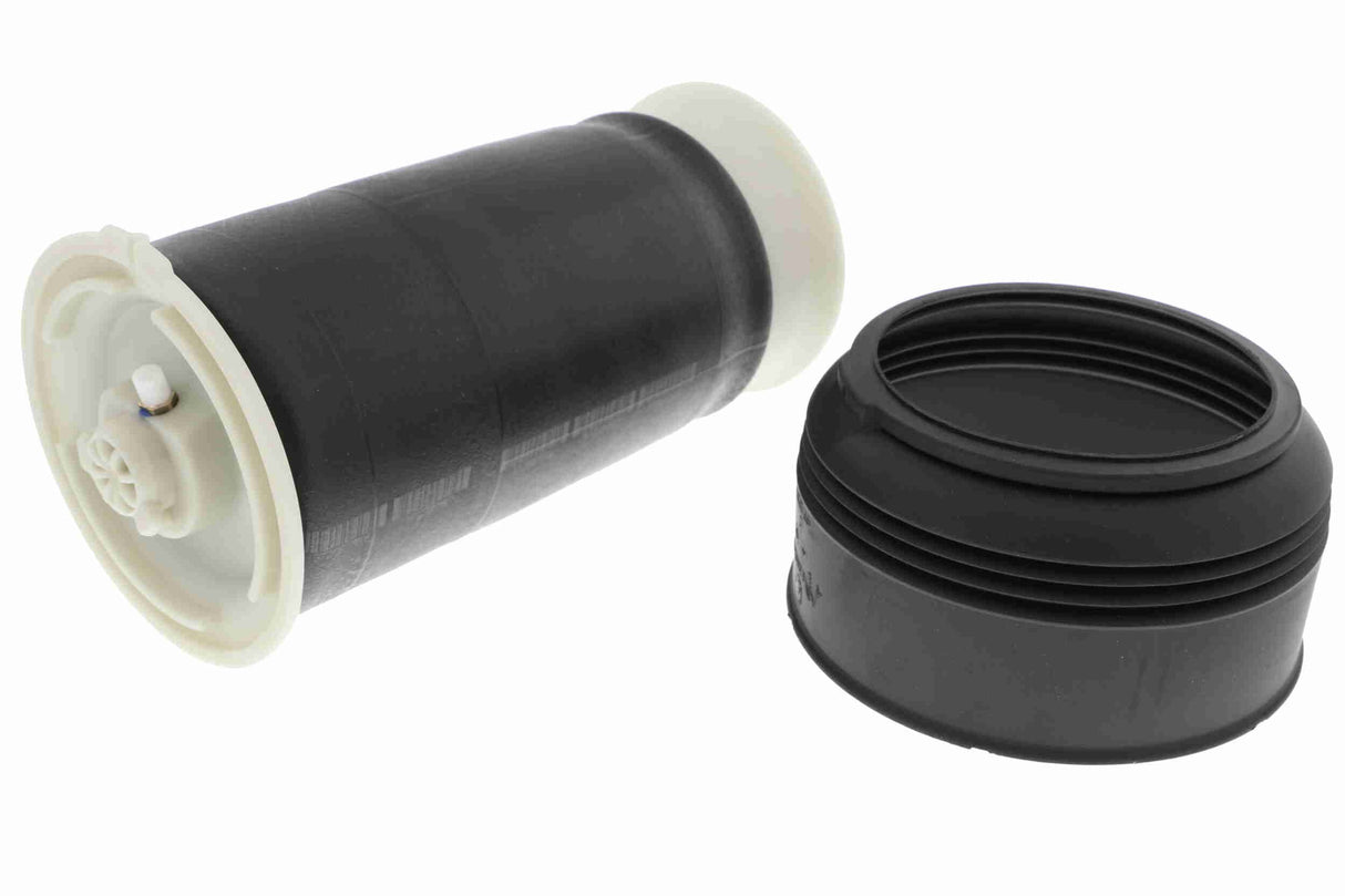 Air Suspension Strut - V20-50-0007