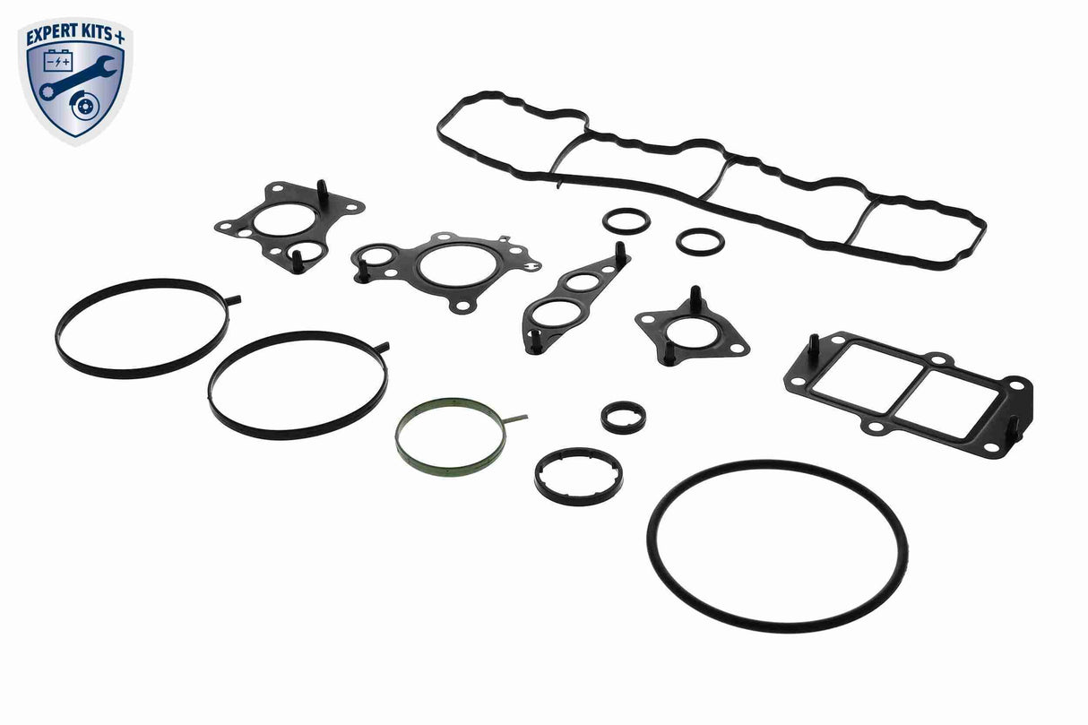 Gasket Set, oil cooler - V30-60-91315