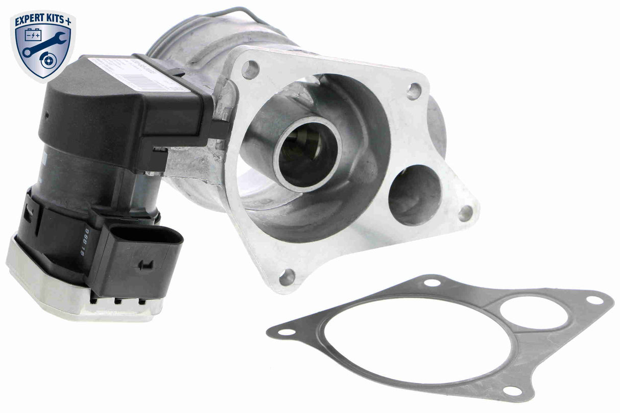 Valve, exhaust gas recirculation - V30-63-0005