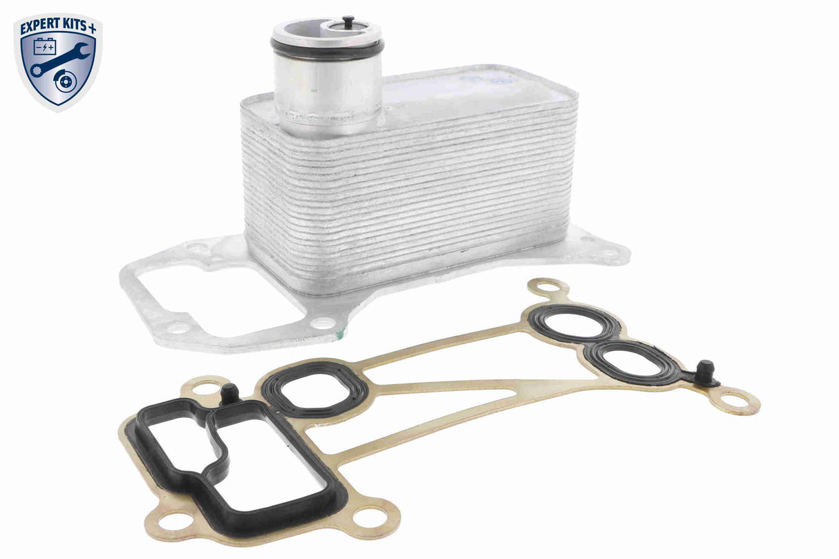 Oil Cooler, engine oil - V20-60-0056