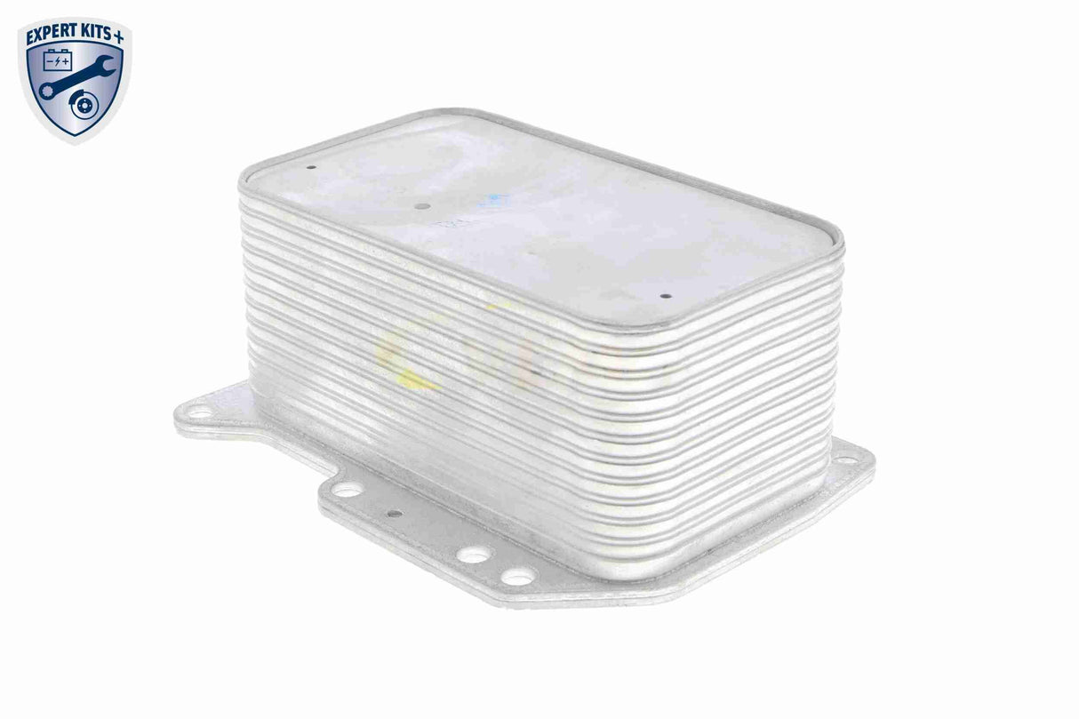 Oil Cooler, engine oil - V46-60-0012