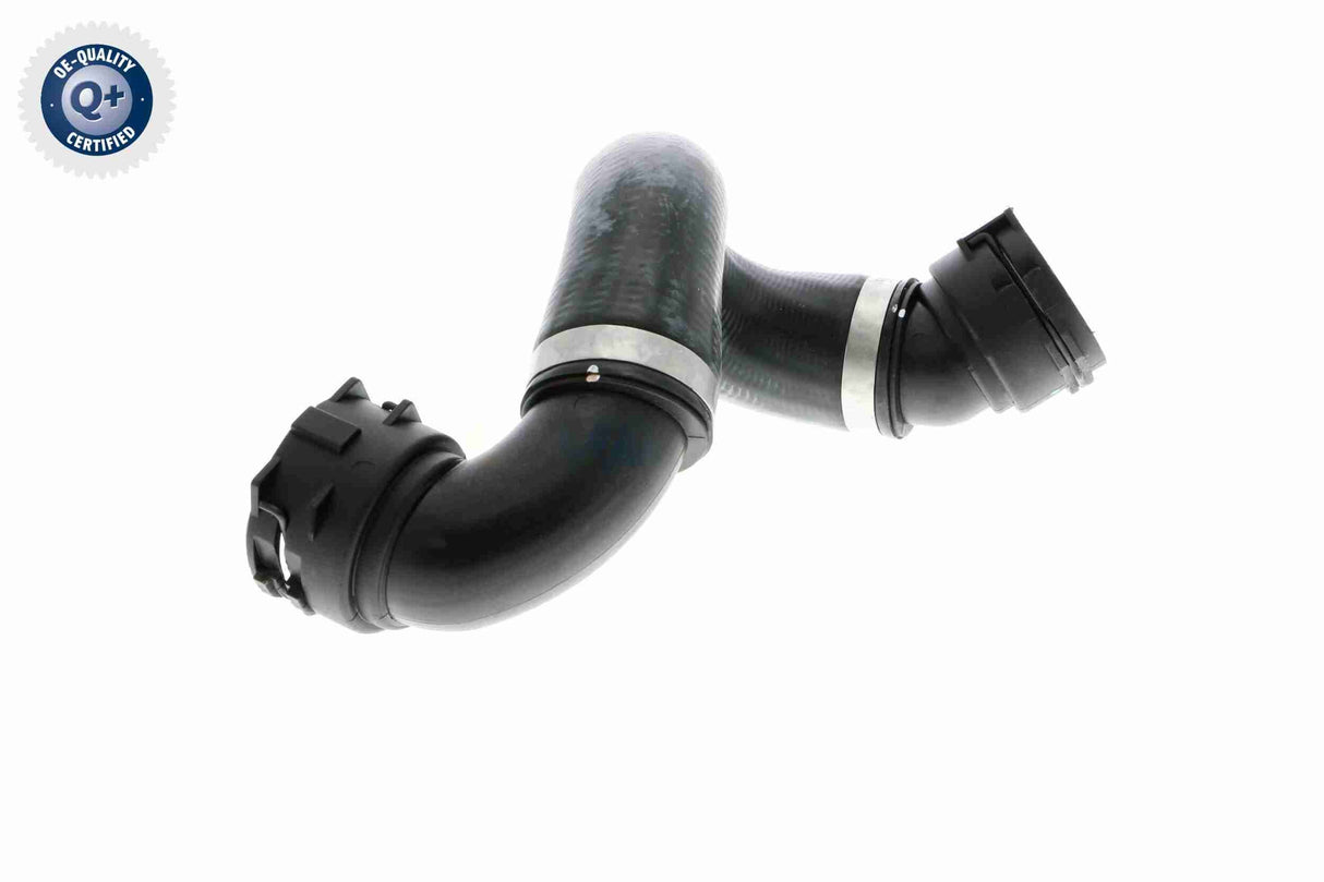Radiator Hose - V20-1780