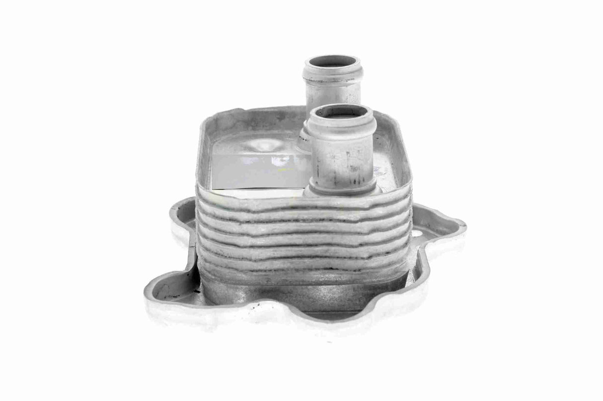 Oil Cooler, engine oil - V20-60-0051