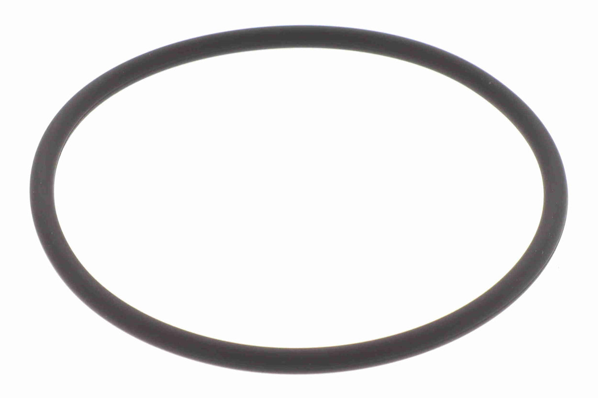 Gasket, throttle body - V10-81-0135