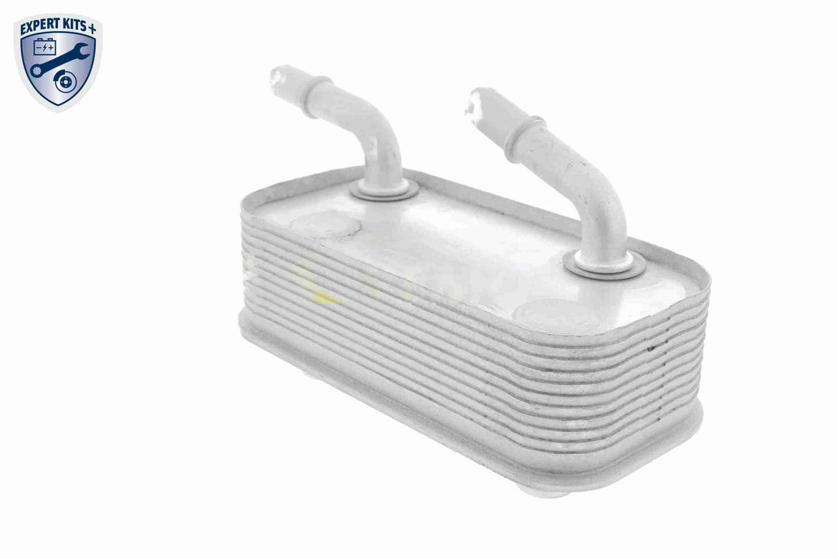 Oil Cooler, engine oil - V20-60-0002