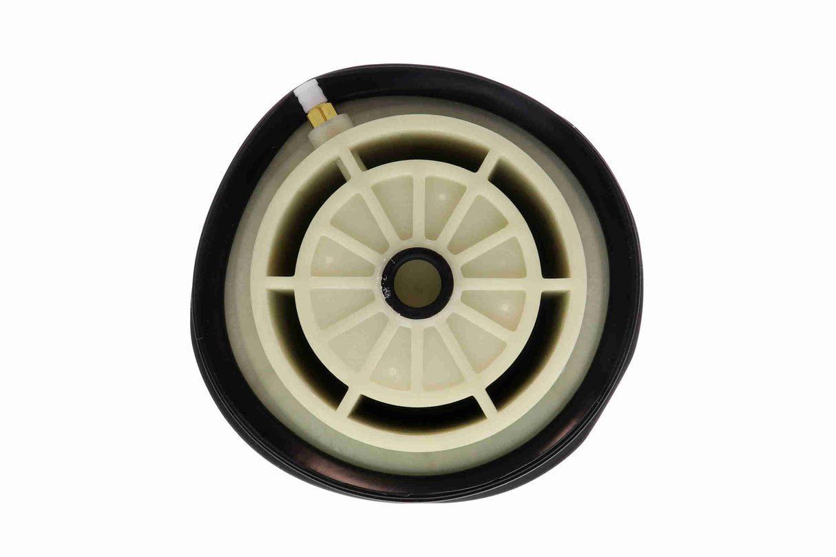 Air Suspension Strut - V30-50-0003-1