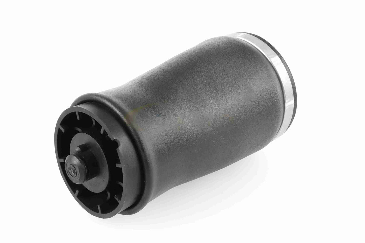 Air Suspension Strut - V20-50-0003-1