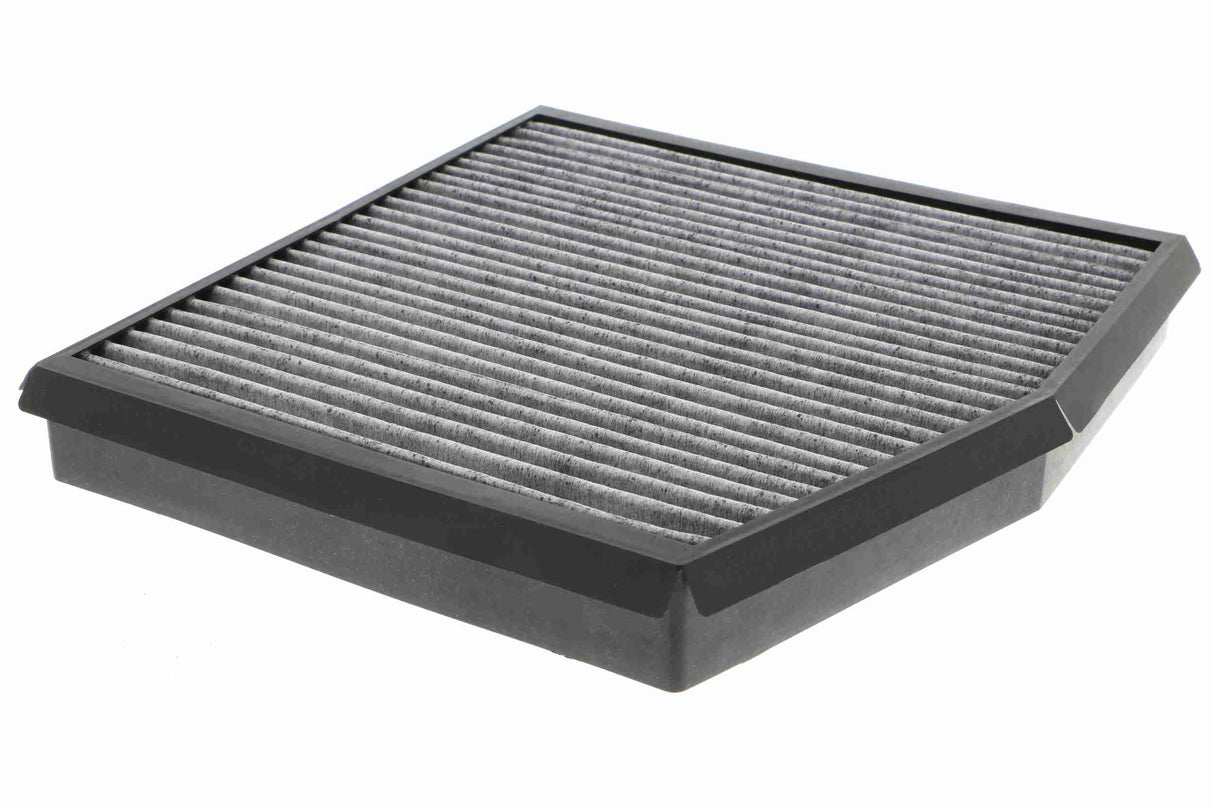 Filter, cabin air - V24-31-1005