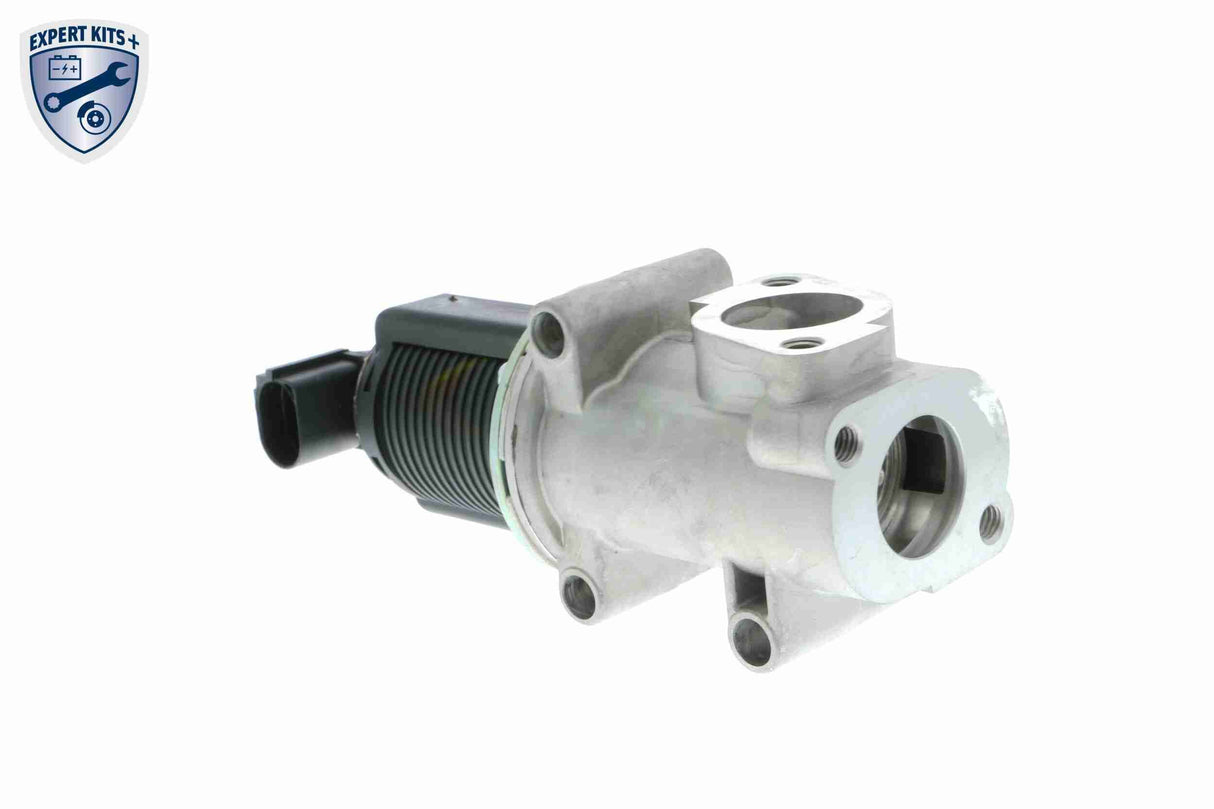 Valve, exhaust gas recirculation - V24-63-0010-1