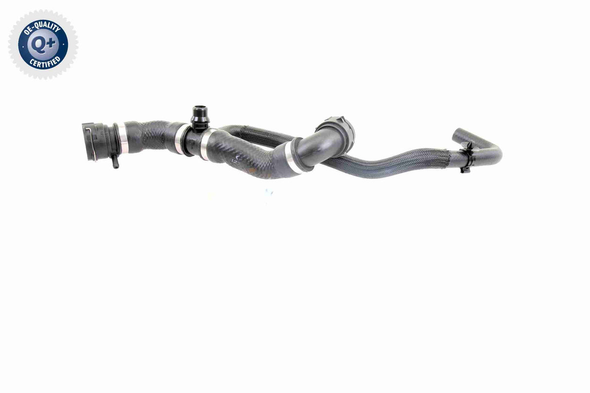 Radiator Hose - V20-2421