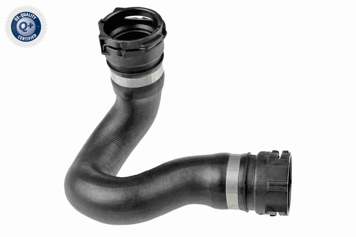 Radiator Hose - V10-5531