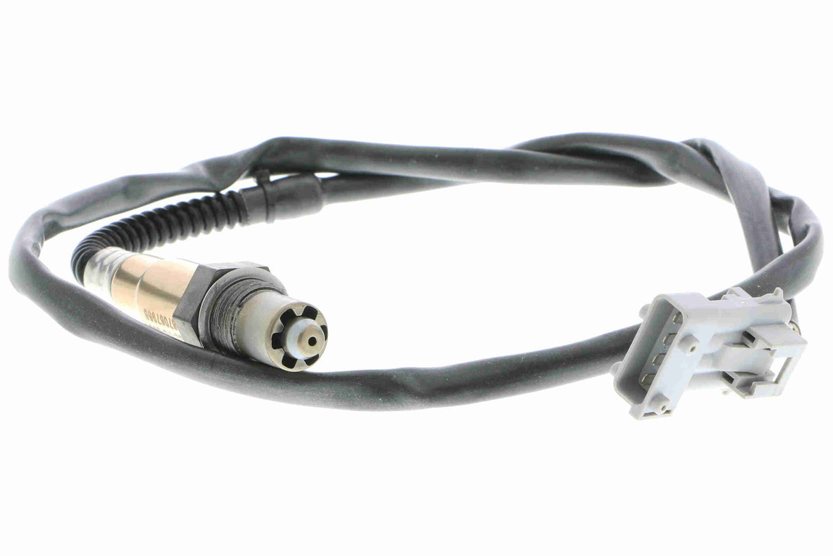 Oxygen Sensor - V50-76-0001
