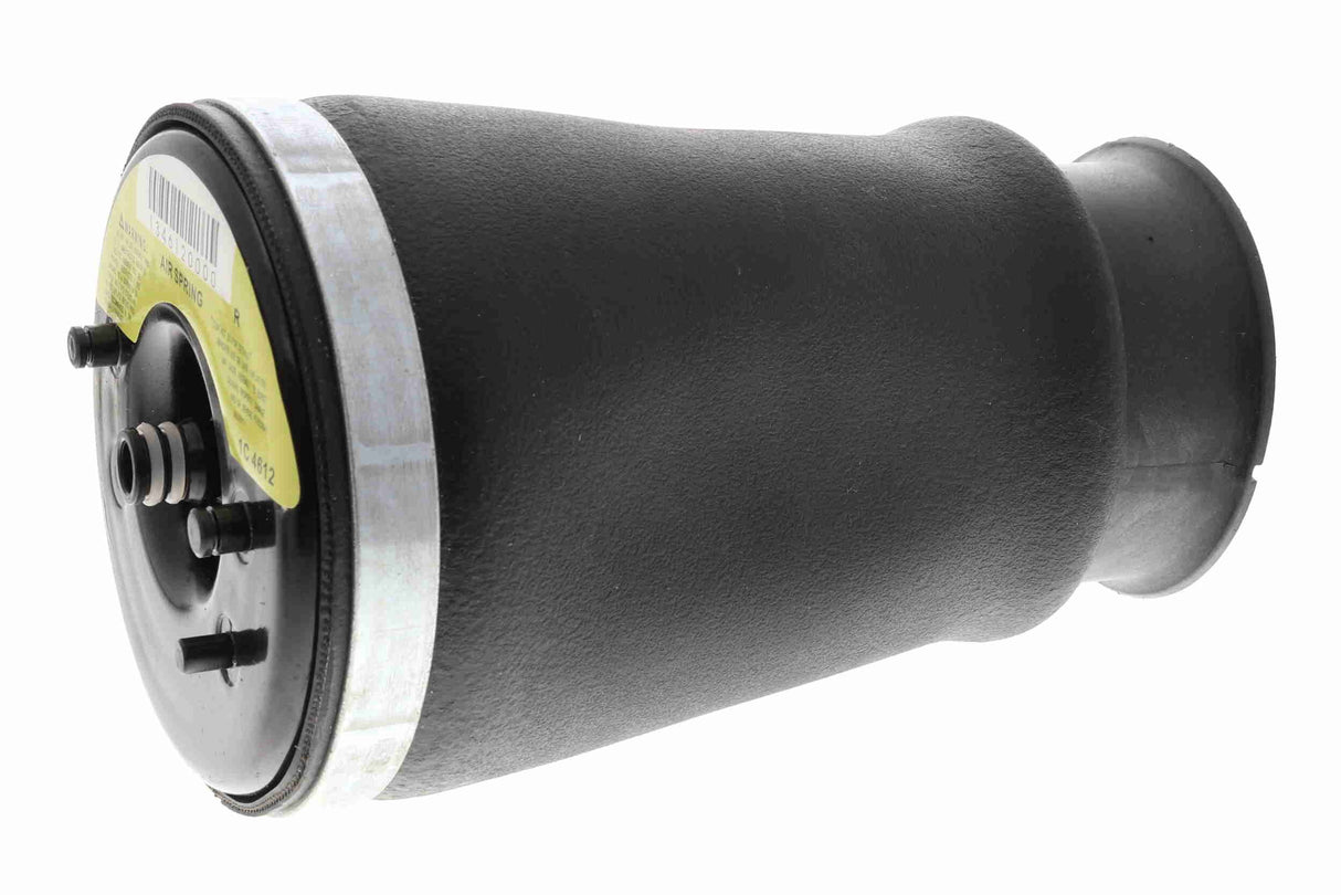 Air Suspension Strut - V20-50-0021-1