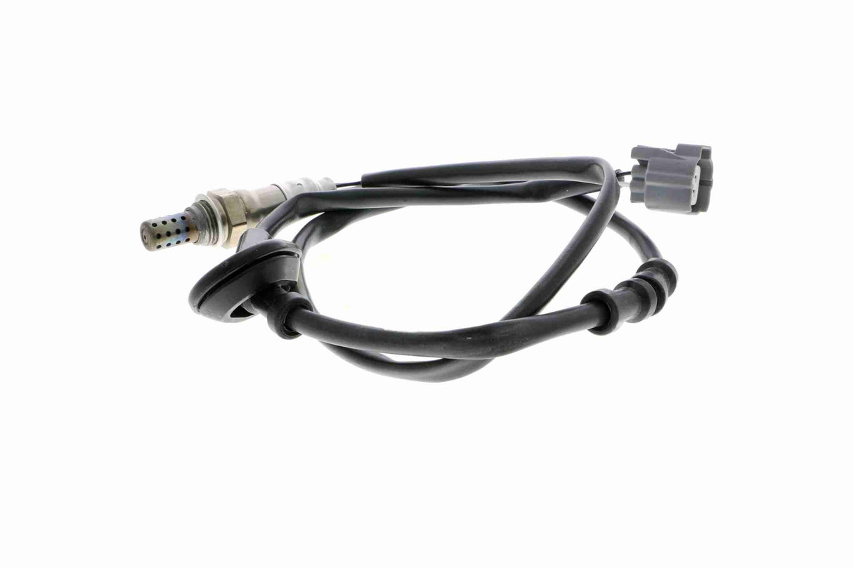 Oxygen Sensor - V26-76-0010